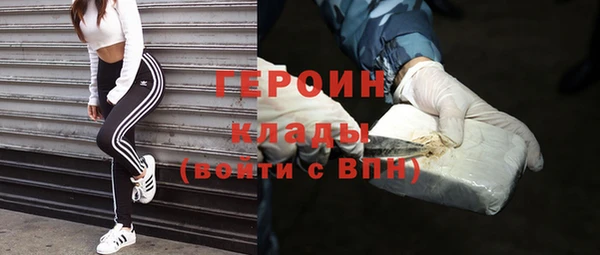 твердый Лагань