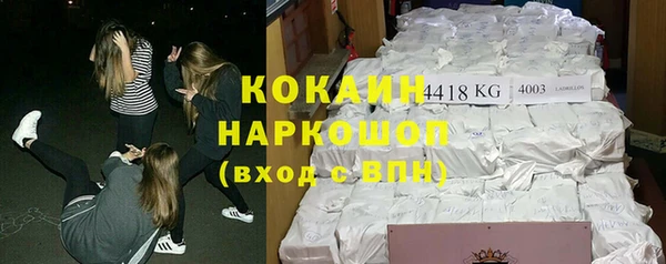 стаф Ладушкин