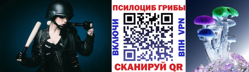 блэк спрут ССЫЛКА  Чистополь  Галлюциногенные грибы Psilocybe 